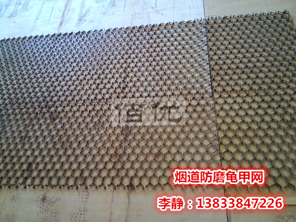 佰优龟甲网 李静
