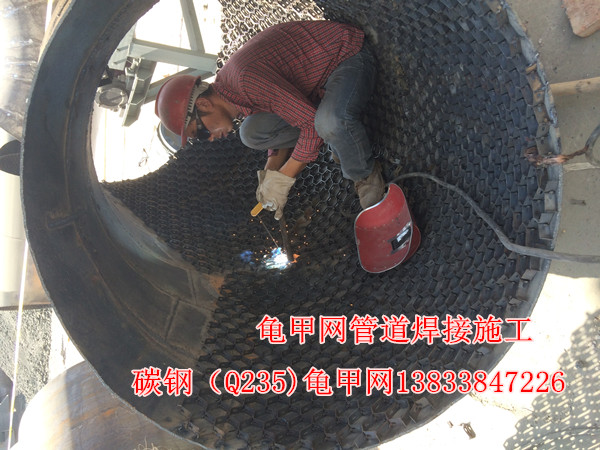 碳钢（Q235）龟甲网