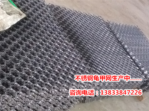 龟甲网生产厂家