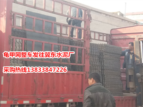 龟甲网生产厂家
