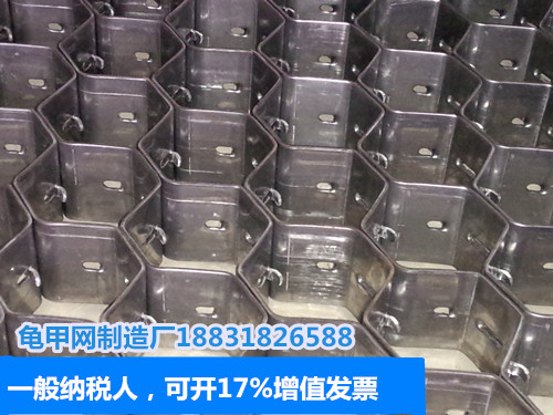 龟甲网现货